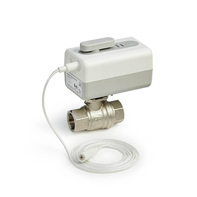 WiFi Actuator with Leak Detector and 1/2 in Rp Ball Valve